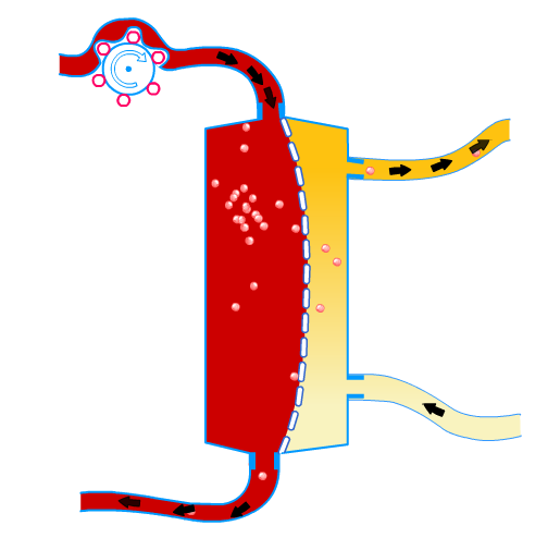 Diffúzió Qb 3-400 ml/min Hatásfokát az ellenáramlással növeljük ( a vér és dializátum mozgása