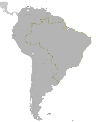 8. számú ábra A századforduló és 1920. között kivándorlók cél-területei Brazíliában Latin-Amerika São Paulo 1920 után vált cél-területté Santa Catarina Rio Grande do Sul Kép forrása: http://www.