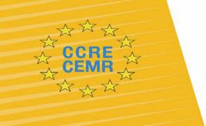 UCLG CEMR Workshop 2 nd Global Report on Decentralization (GOLD II) Hôtel de Ville de