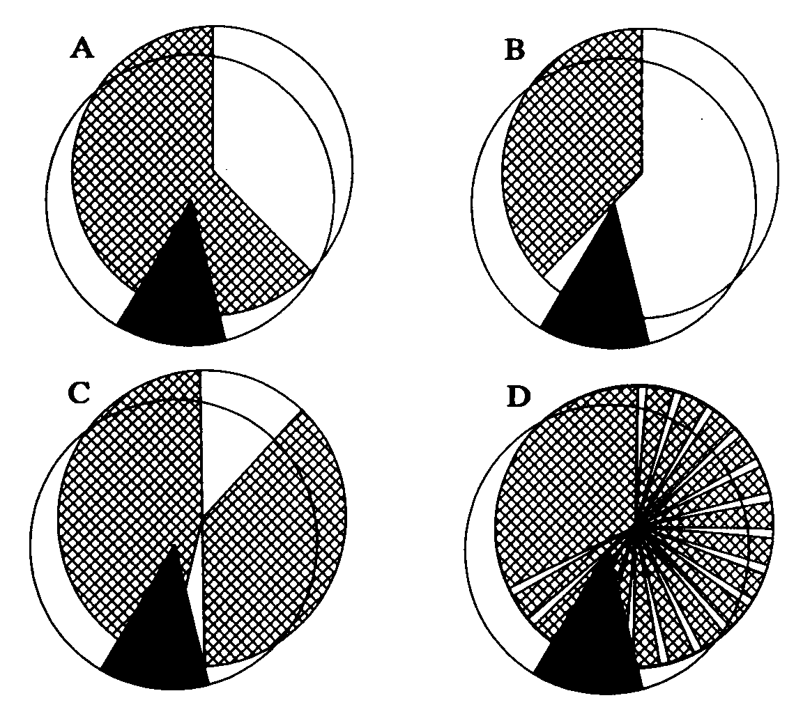 Fotoperiodizmus L: világos szakasz D: sötét szakasz A: 9L:15D nem stimuláló B: 15L:9D stimuláló C: