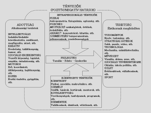 valamilyen tevékenységcsoportban lehet sikeres. A sporttehetség vizsgálatok szempontjából a Gagné (1999) által kidolgozott differenciált adottság és tehetség modell (4. ábra) jelentősége számottevő.