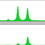 against a background of wild type genomic DNA : 1 Gly12Asp (GGT>GAT) 2 Gly12Ala (GGT>GCT) 3