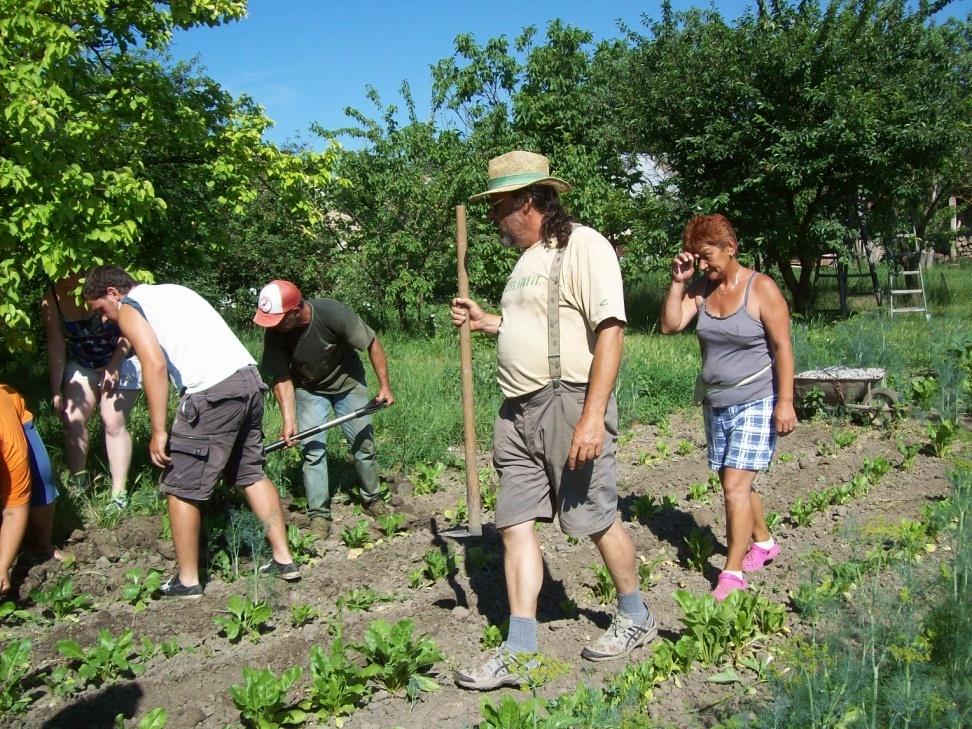 Önfenntartó közösségek Küngös Szent Kinga Termelőiskola és Innovatív foglalkoztatási kezdeményezés Új Széchenyi Tervből 133.028.