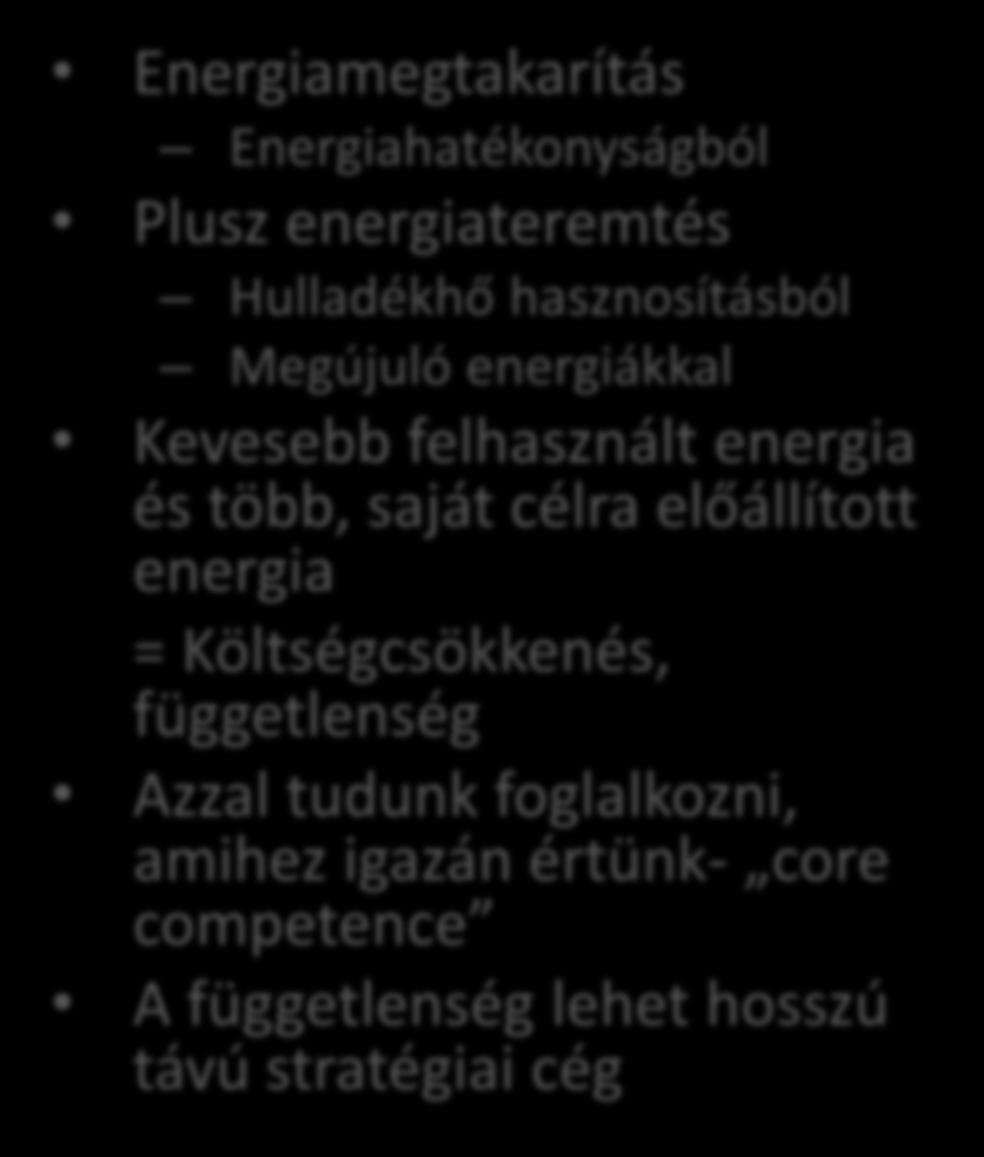 Energiamegtakarítás = függetlenség Energiamegtakarítás Energiahatékonyságból Plusz energiateremtés Hulladékhő hasznosításból Megújuló energiákkal Kevesebb felhasznált energia és