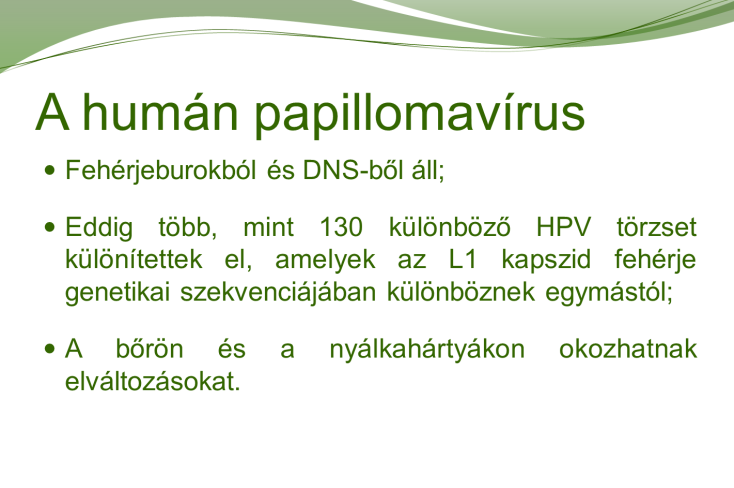 3. Háttér A méhnyakrák relatív halálozási kockázata a magyar nők körében magas: az Európai Uniós országok átlagának mintegy háromszorosa.