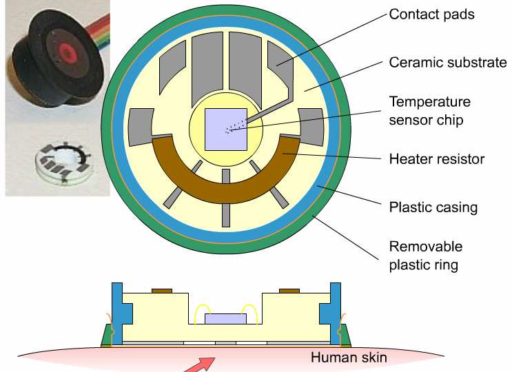 AMPEROMETRIKUS ELEKTROKÉMIAI CELLA AMPEROMETRIKUS ELEKTROKÉMIAI CELLA 31 32 MÉRÉSI ELRENDEZÉS TRANSZKUTÁN MÉRÉSI ELV Vérbeli