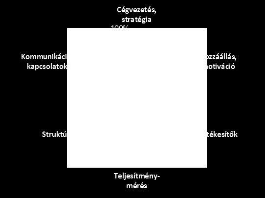 Az előzetesen kitöltött speciális cégvezetői kérdéssor alapján a cégvezető szerint a cég hatékonysága a következőképpen alakul: Belső működés 1.