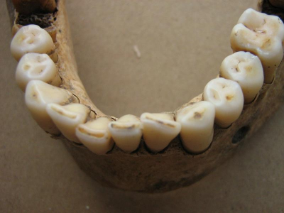 12.ábra 13.
