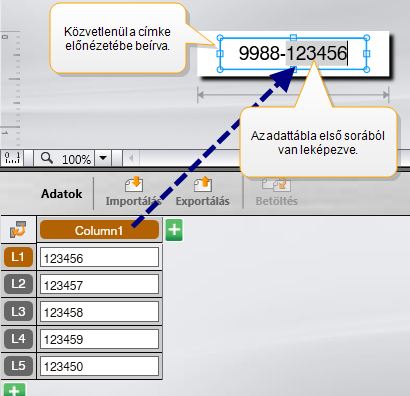Az adatok használata Adatok közvetlen beírása a címkén lévő szöveg- vagy vonalkód-objektumba A címkébe közvetlenül beírt adat ugyanazon a helyen fog megjelenni minden címkén, amely ugyanabból a