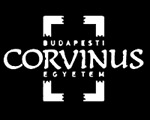 A Bayesi-játék Nash-egyensúlya Szakdolgozat Írta: Nguyen Gábor Loi Gazdaságelemzés szak Témavezet : Pintér Miklós, egyetemi