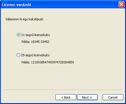 Licenszelés A licenszelést követően meglévő szoftver-kulcsával korlátlanul használhatja a programot.