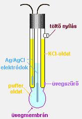 Az üveggömb belsejében a hidrogén-ion koncentráció állandó, mivel puffer oldat van benne. Ezért az elektródpotenciál változás csak a külső oldat hidrogén-ion koncentrációjától, tehát a ph-tól függ.