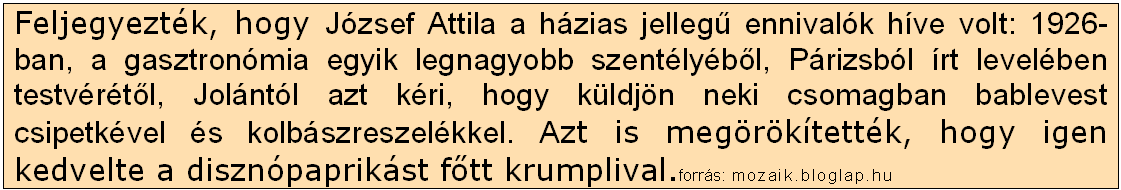 nála hat évvel fiatalabb Attiláról, aki ebben