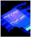 PCR (polymerase chain reaction) PCR készülék PCR alapú markerek