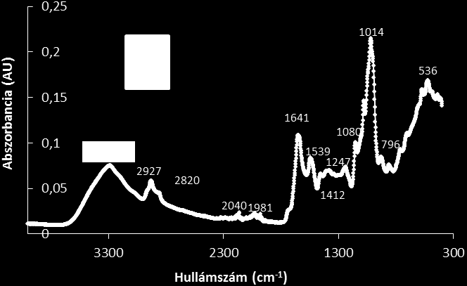 A 3200 és 3500 cm -1 közötti hullámszám-tartományban (3383 cm -1 ) az O-H és N-H kötések vegyértékrezgéseihez tartozó átlapolódó csúcsok nem jelennek meg, kisebb hullámszám tartományban található a