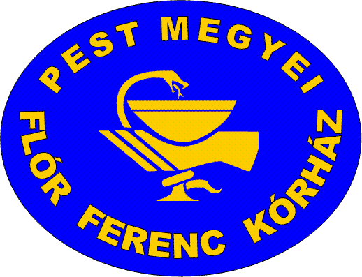 A SZERVEZETI EGYSÉG BEMUTATÁSA PEST MEGYEI FLÓR FERENC KÓRHÁZ I.