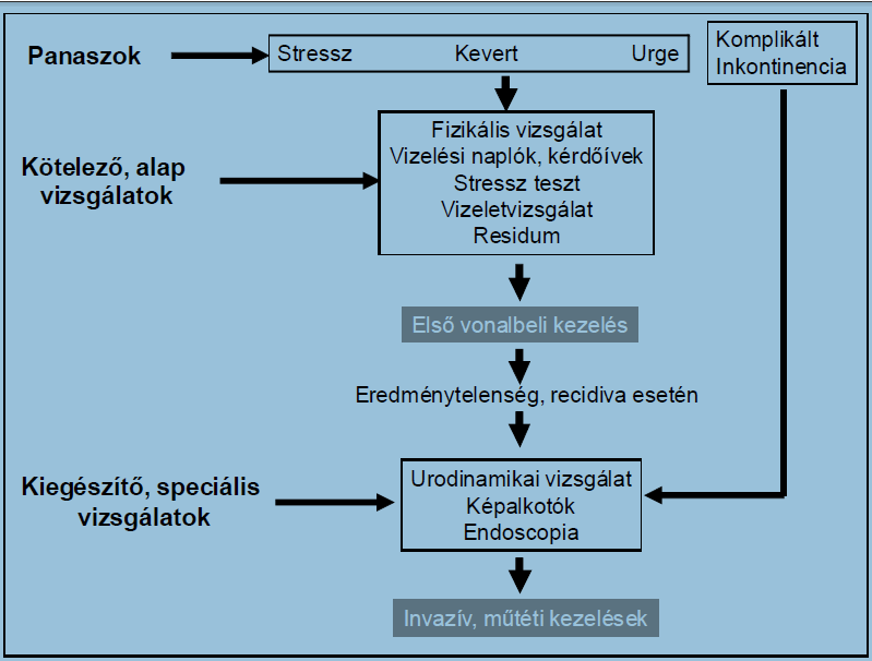 Dr. Füredi