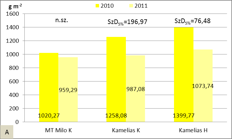 5.4.4. A kukorica növények betakarításkori száraz szemtermésének és csőhosszának összehasonlítása A gyommentes kukoricák száraz szemtermése a 2011-es évben az MT Milo K hibridnél 6,0 %-kal, a