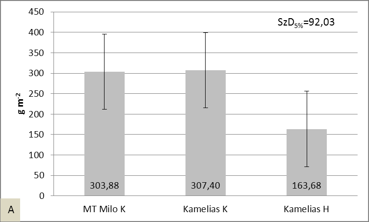 Ennek oka, hogy melegigényes gyomfajról van szó és kedveli a csapadékos időjárási körülményeket.