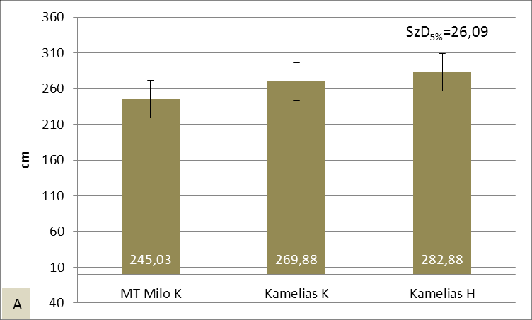 legnagyobb hajtáshossza (282,88 cm), amely az MT Milo K hibrid hajtáshosszánál szignifikánsan nagyobb (20A. ábra).