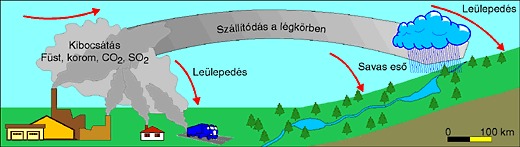 Savas