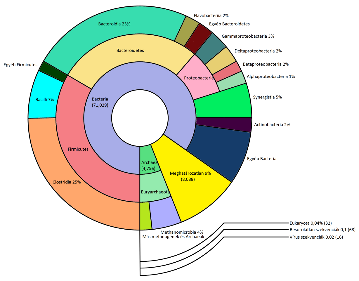 32. ábra. A kiindulási inokulim taxonómiai eloszlása. A koncentrikus körszelvényekben belülről kifelé haladva a közösség domén, törzs és osztály szerinti besorolásait tüntettem fel.