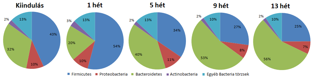 megszüntetése után a fermentáció végén a Bacteroidales rend került többségbe, bár ebben a szakaszban csak egy mérési pontunk van (35. ábra).