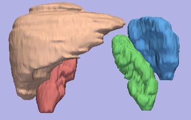 látószervek Módszerek 2D és 3D régió-, felszín-, és modell-alapú