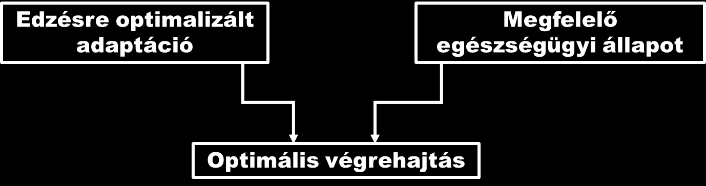 III. A szív működési áramának regisztrálása emberen (EKG) Miért fontos a terhelési vizsgálatok sportélettani szempontból?