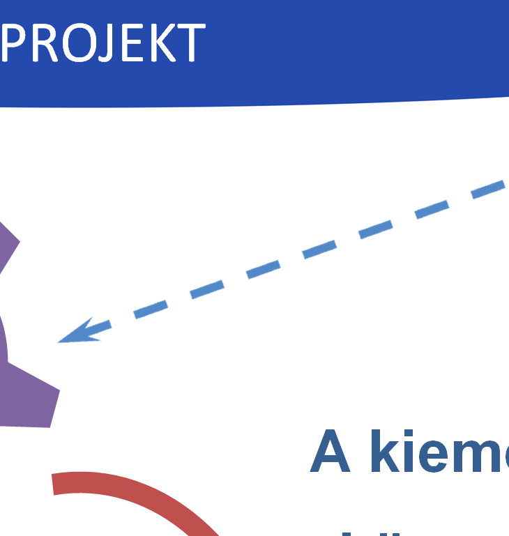 A PROJEKT Hatósági ellenőrzés fejlesztése (rendszer és folyamatok fejlesztése, a hatékonyság növelése) A kiemelt projekt közvetlen céljai Társadalom