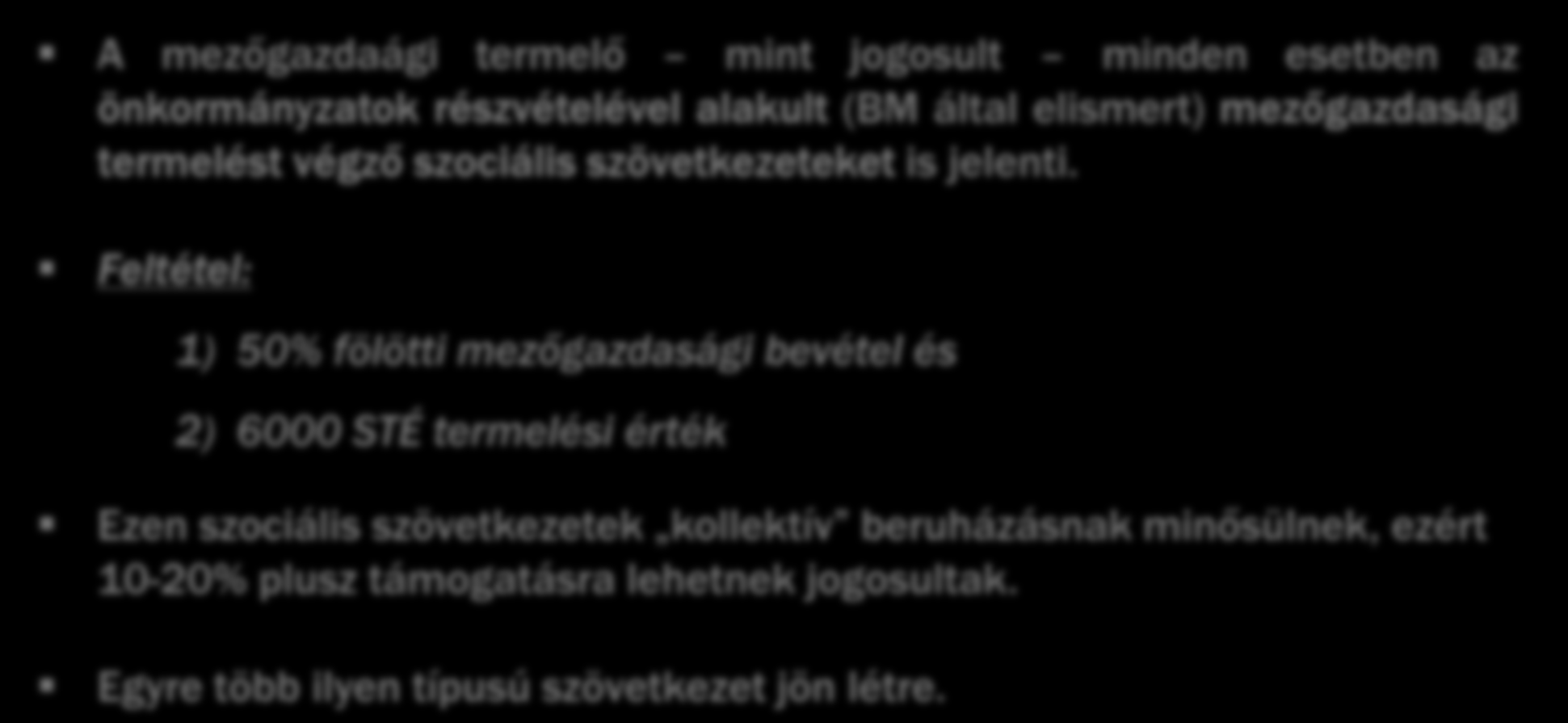 VP támogatások önkormányzatok számára A mezőgazdaági termelő mint jogosult minden esetben az önkormányzatok részvételével alakult (BM által elismert) mezőgazdasági termelést végző szociális