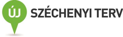 PÁLYÁZATI FELHÍVÁS Társadalmi Megújulás Operatív Program TÁMOP-5.4.