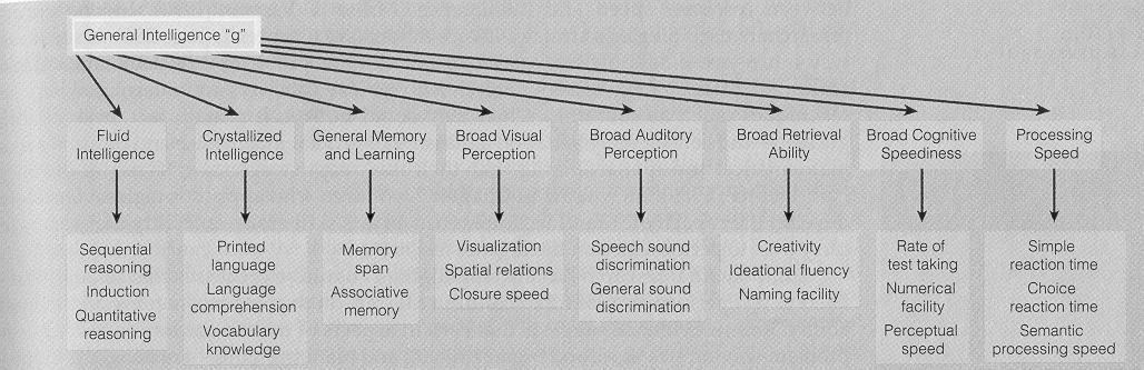 Carroll 3 réteg elmélete Fluid Kristályos Memória Viz.perc. Aud.p. Felidézés Kogn. gyors. Feld.gy. Az intelligencia háromtényezős elmélete -Robert Sternberg (1985) 3. 2. 1.