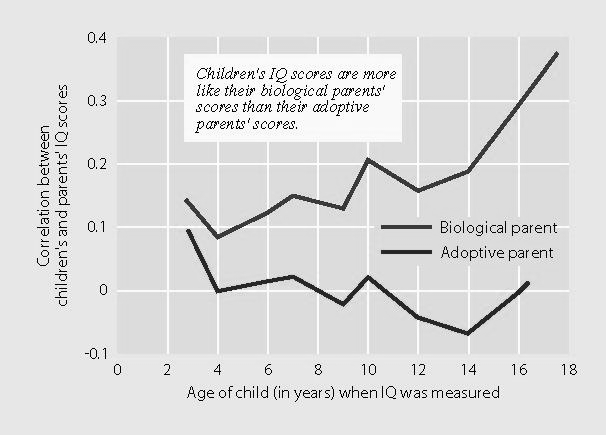 Öröklés és környezet Group differences are represented by t-statistics (t > 2.