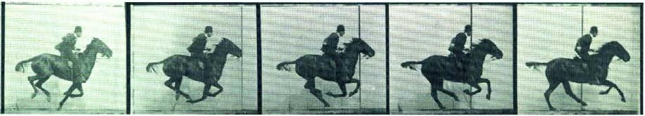 ügető ló gyors állatok etológiája lassított felvétel idő, ms Eadweard Muybridge, 1878 a ló indítja a felvételt (Leland Stanford lótenyésztő 25 000 $