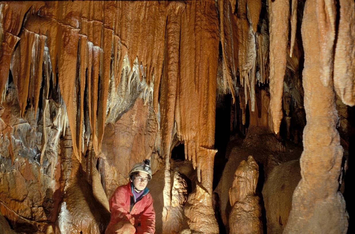 Vass Imre-barlang 2011-ben a látogatók