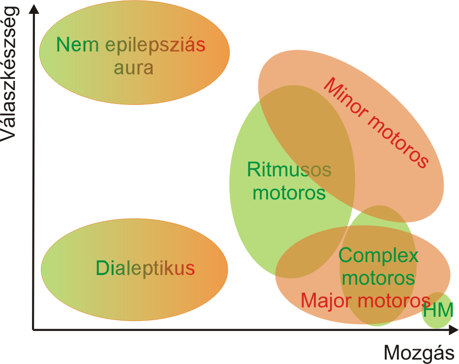 tudatvesztéssel. Azok a rohamok, melyek ennél összetettebb mozgással járnak, több végtagot is bevonnak, migrálnak, és jellegükben változnak, a major motoros rohamok közé soroltuk.