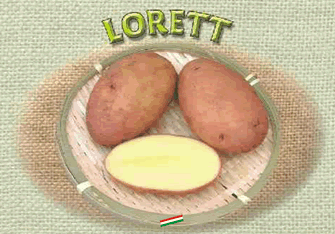 Keszthelyi B
