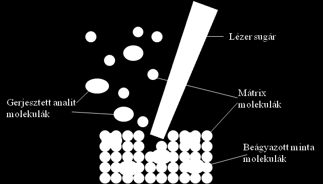 Irodalmi áttekintés Biológiai molekulák analízise tömegspektrometriával ionok a mintából. A lézer deszorpciós technika kisméretű, termikusan stabil molekulák vizsgálatára használható.