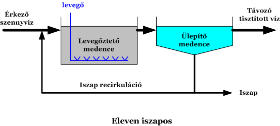 3.2 A hagyományos eljárások kritikája A következőkben az egyes technológiákat csak az összehasonlítás erejéig, a lényegi elemek kiemeléséig tárgyaljuk. 3.2.1 Eleveniszapos technológia Az eleven iszapos medencékben eredendően nincs szilárd felület, amelyen a biológiai hártya megtapadhatna.