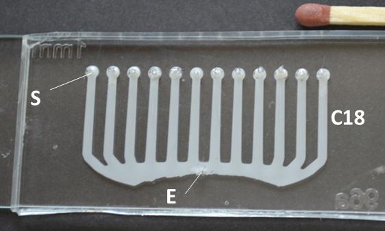 Ezek alapján a mikrocsipben kialakított kromatográfiás töltetek méretei 20 mm x 1 mm x 0,1 mm voltak, amelyek alkalmasnak bizonyultak 10-30 μl-nyi effluens szolgáltatására (a mintakomponensek