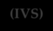 Integr{lt v{rosfejlesztési stratégia (IVS) Az IVS sikerének kulcselemei: A hosszú t{vú ( koncepcion{lis ) v{rosfejlesztési célok középt{von re{lisan megvalósítható programokk{ és projektekké való