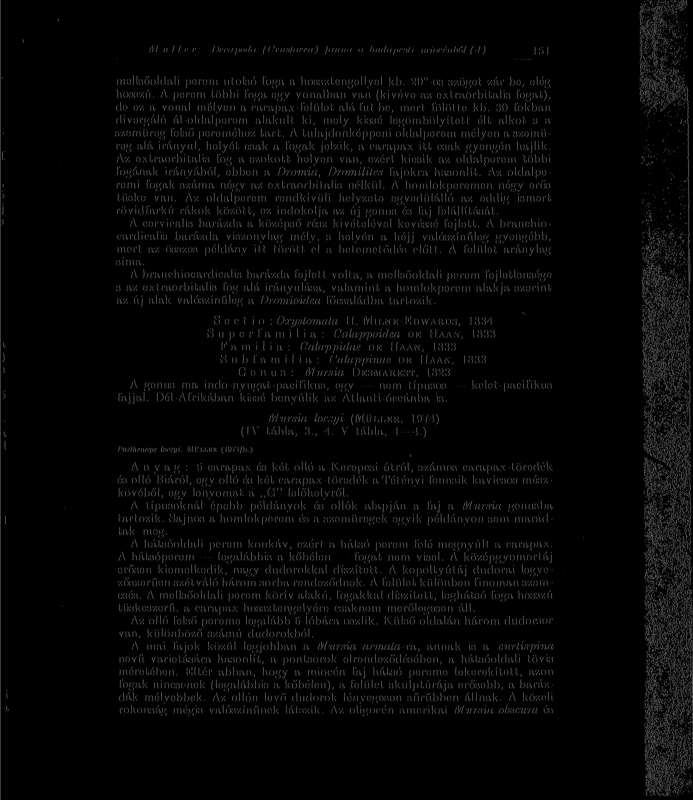 M H I I r r : ijiciifnnhi (( 'ninfiimi) fitiut't a hu/hlf>f.*ti nriocciilinl (-I ) 151 mellsőoldali perem utolsó foga a hossztengellyel kb. 20 -os szöget zár be, elég hosszú.