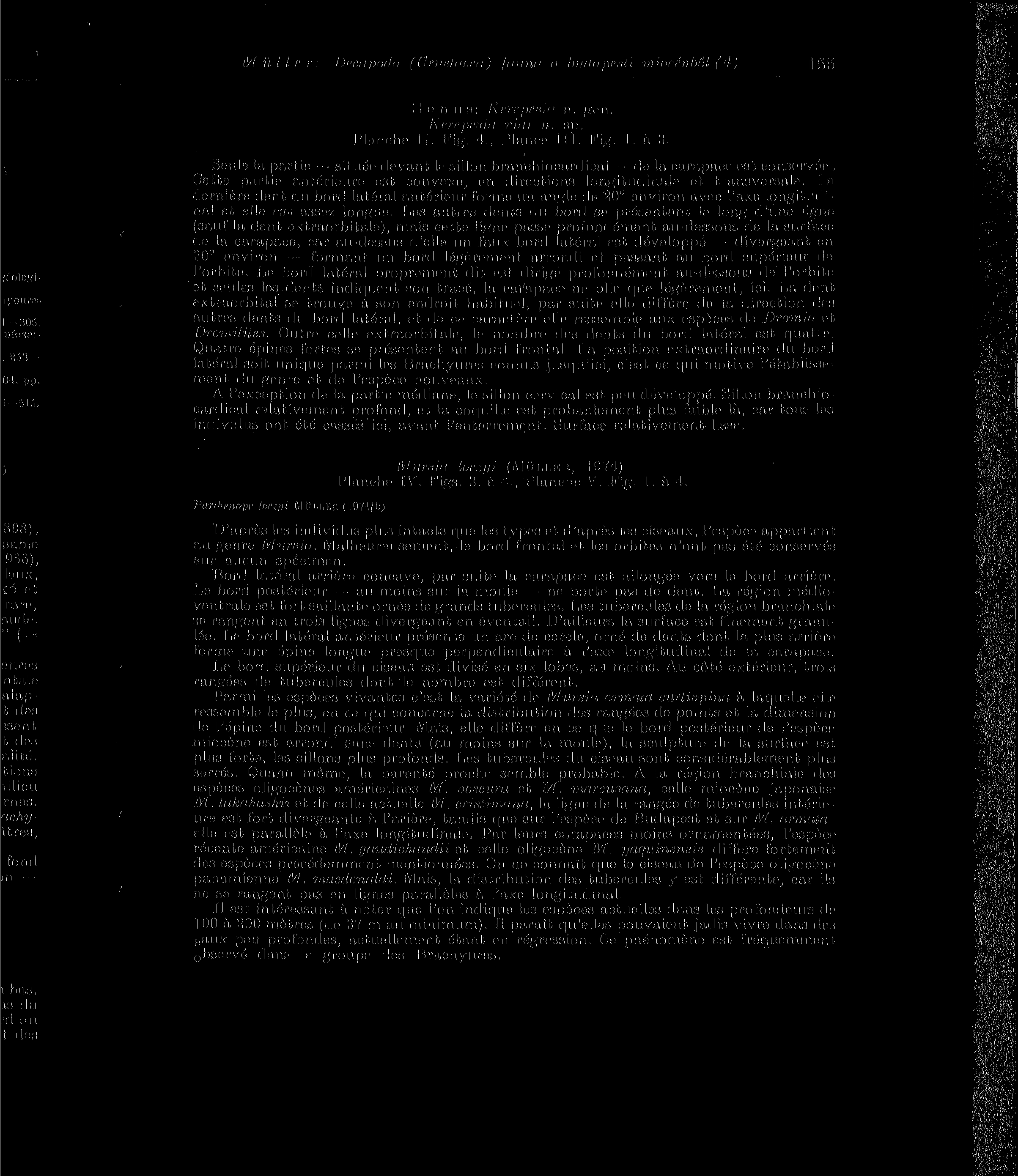 Müller: Drcapodu (Crushtc.ca) f/ntna a budapesti. miocénből (4) (! e n ti s: Kerepesin n. gen. Kerepes/Il fim 11. Sp. Manche II Kig. 4., IMance III. Fig 1. á 3.