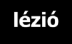 Vesicula: kicsi, körülirt, folyadéktartalmú előemelkedő lézió.