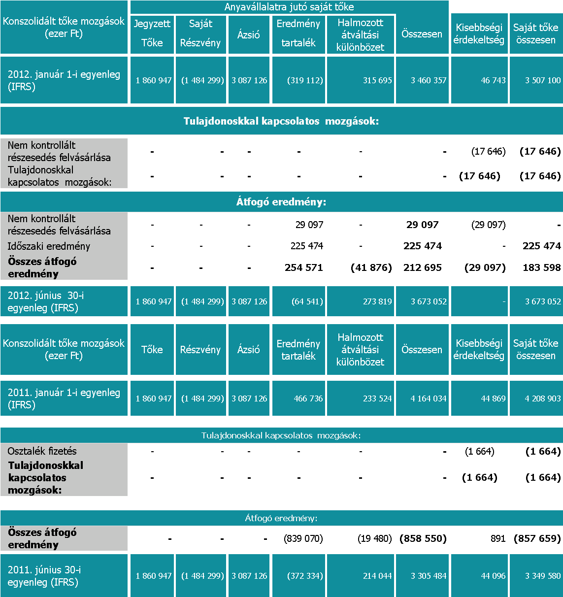 SYNERGON Csoport saját tőke változása 2012.