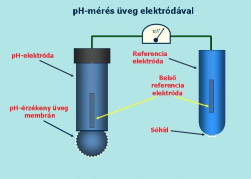 Szenzorok, mérések ph-mérés ph-mérő elektróda Makra Péter