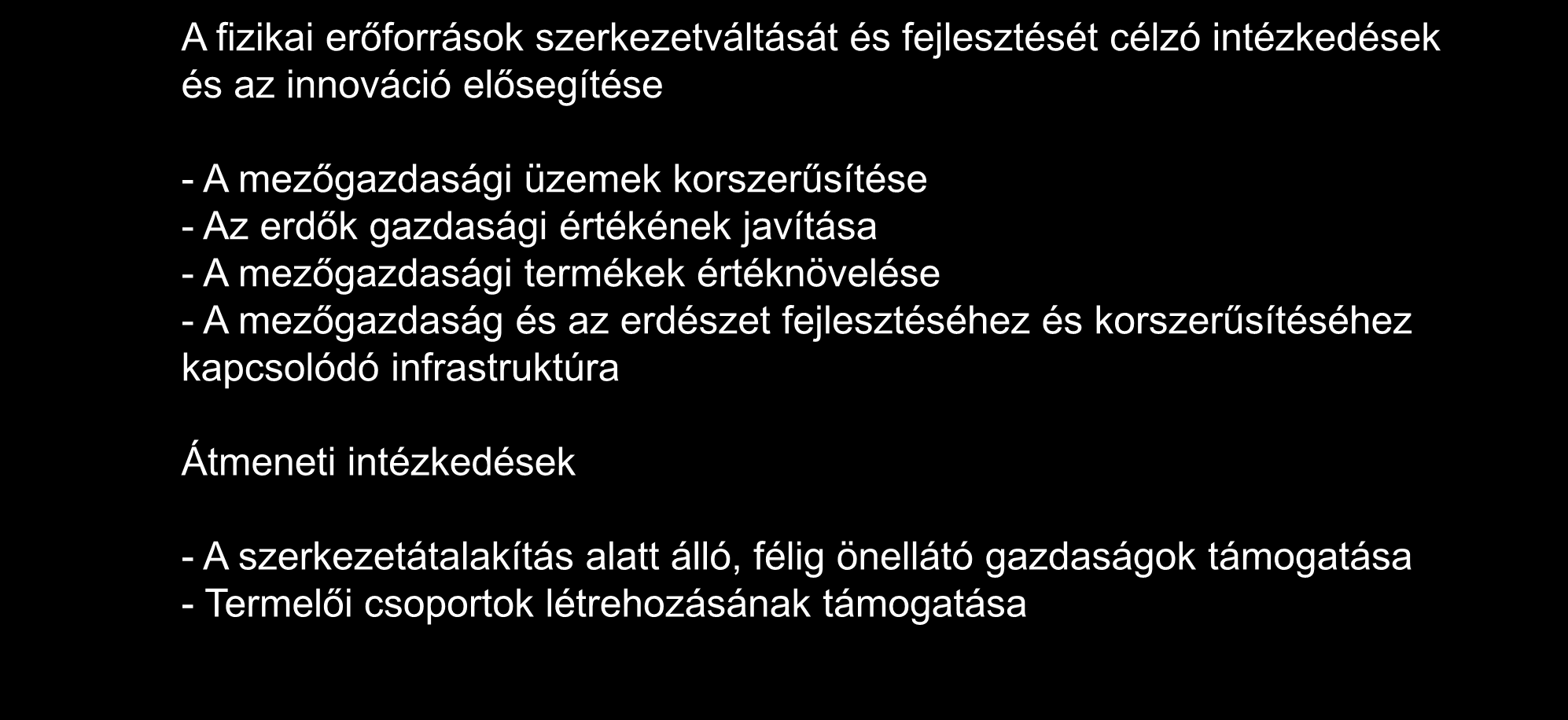 értéknövelése - A mezőgazdaság és az erdészet fejlesztéséhez és korszerűsítéséhez kapcsolódó infrastruktúra