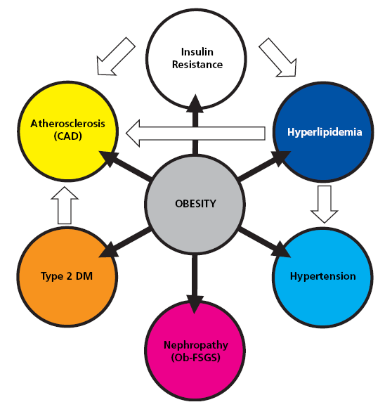 METABOLIKUS SZINDRÓMA ÉS KRÓNIKUS VESEELÉGTELENSÉG ATP III metabolikus szindróma kritérium Bármely három a felsoroltak közül: Abdominális obezitás Triglycerid emelkedés HDL-koleszterin csökkenés