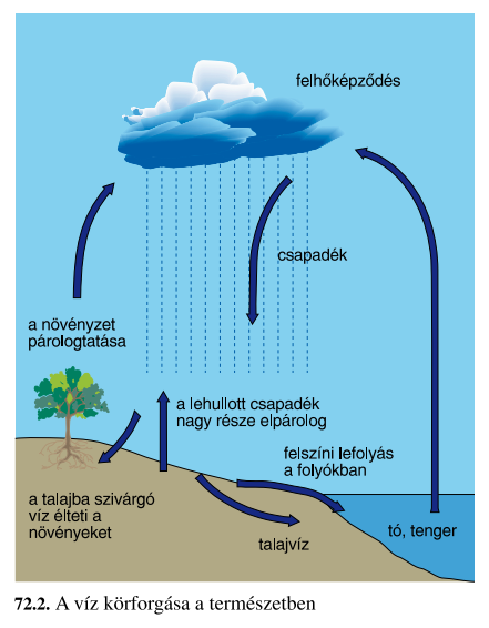 A víz körforgása A körforgás motorja a napsugárzás.